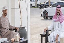 رایزنی معاون وزیر دفاع امارات با همتای سعودی