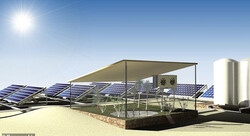 پنل های خورشیدی اسفناج پرورش می دهند!