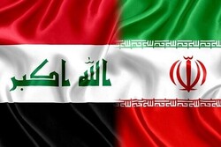 Iran-Iraq trade capacity at $30bn: TPOI