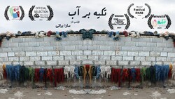 فیلم ساز گلستانی فینالیست جشنواره بین المللی برزیل شد