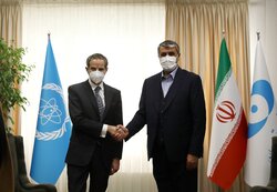 غروسي يلتقي رئيس منظمة الطاقة الذرية الايرانية