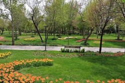 ایجاد ۱۵۰۰ هکتار پارک جدید در تهران/ افزایش سرانه فضای سبز برنامه مدیریت شهری