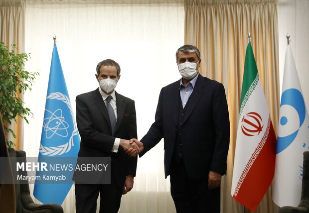 AEOI, IAEA chiefs hold meeting in Tehran 