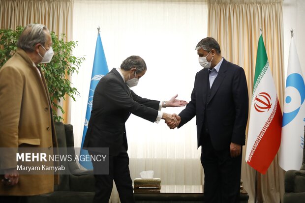 دیدار مدیرکل آژانس بین‌المللی انرژی اتمی با محمد اسلامی