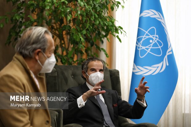 دیدار مدیرکل آژانس بین‌المللی انرژی اتمی با محمد اسلامی