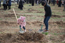 جشن درخت دوستی در یزد برگزار شد