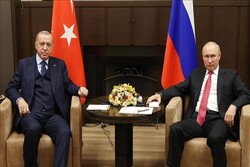 Putin, Erdogan to hold meeting in near future: Kremlin