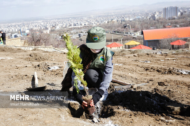 مراسم روز درختکاری در همدان