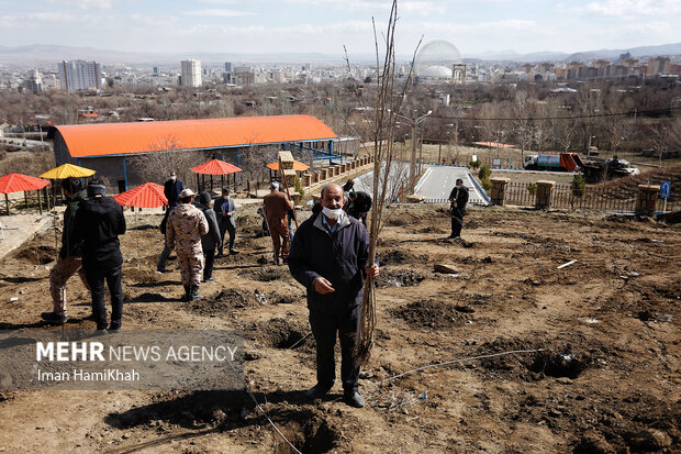 مراسم روز درختکاری در همدان