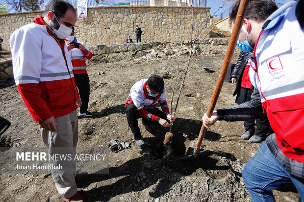 مراسم روز درختکاری در همدان