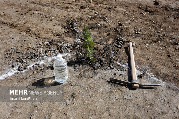 مراسم روز درختکاری در همدان