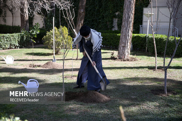 کاشت نهال توسط رهبر معظم انقلاب به مناسبت روز درختکاری