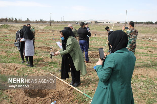 National tree planting day in Kermanshah