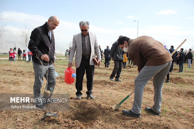 National tree planting day in Kermanshah