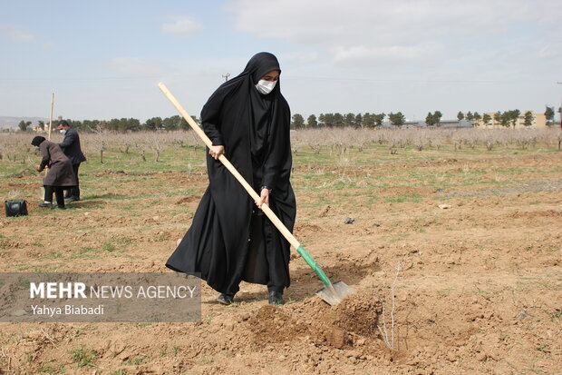 National tree planting day in Kermanshah