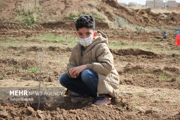 National tree planting day in Kermanshah