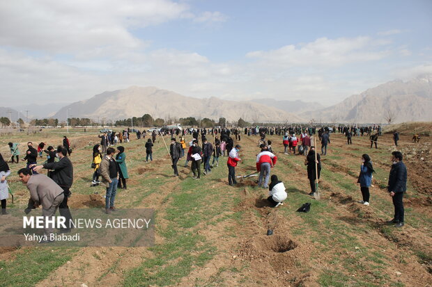 National tree planting day in Kermanshah