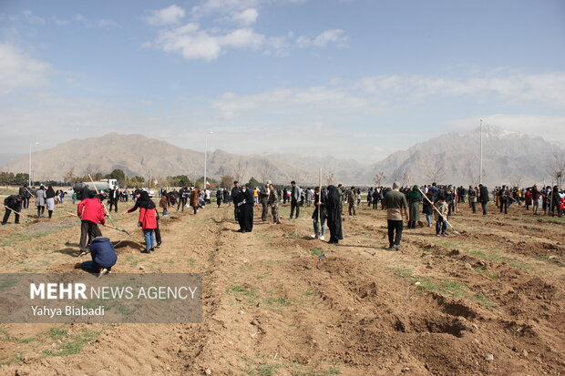 National tree planting day in Kermanshah