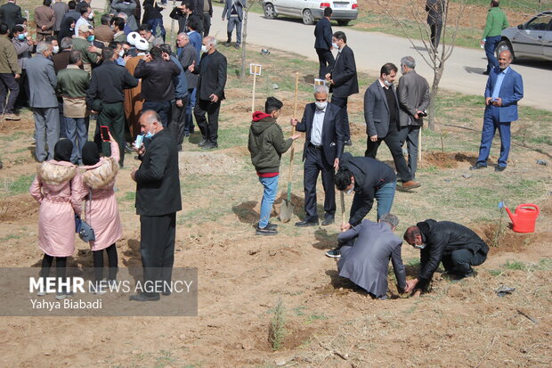 National tree planting day in Kermanshah