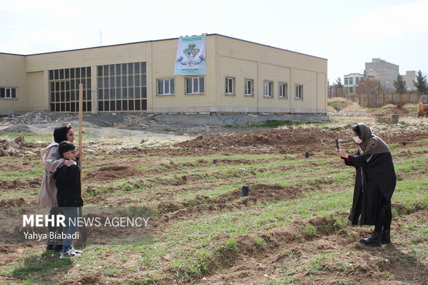 National tree planting day in Kermanshah