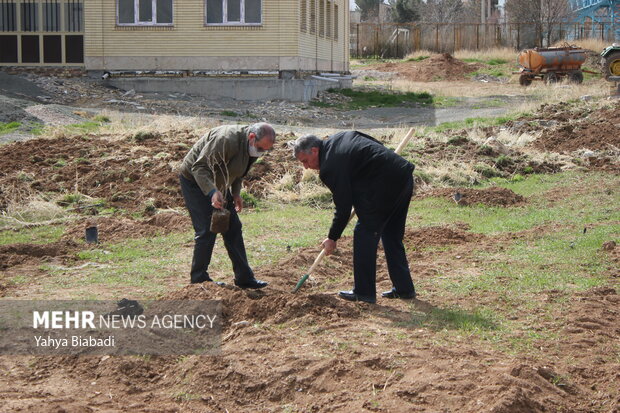 National tree planting day in Kermanshah