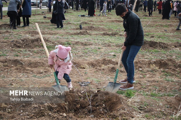 National tree planting day in Kermanshah