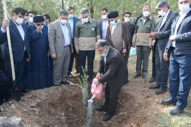 آغاز کاشت یک میلیون اصله نهال در لرستان