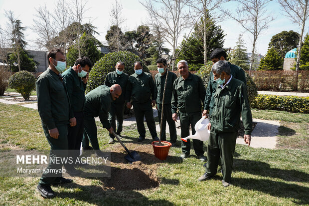 کارگران فضای سبز مجلس در حال کاشت نهال هستند 