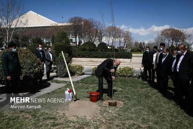 محمدباقر قالیباف رئیس مجلس شورای اسلامی به مناسبت روز درختکاری یک اصله نهال در فضای سبز مجلس غرس کرد