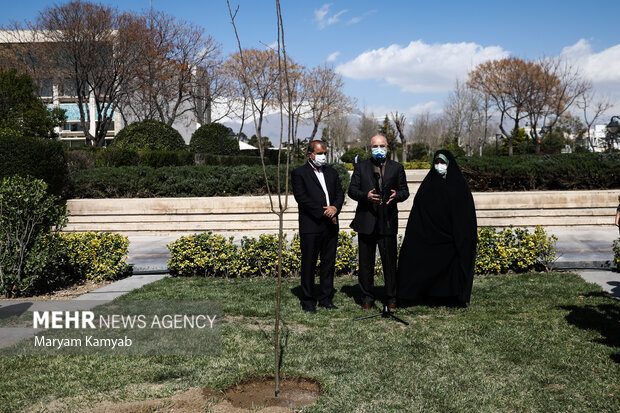  محمدباقر قالیباف رئیس مجلس در حال سخنرانی در مراسم روز درختکاری در مجلس شورای اسلامی است