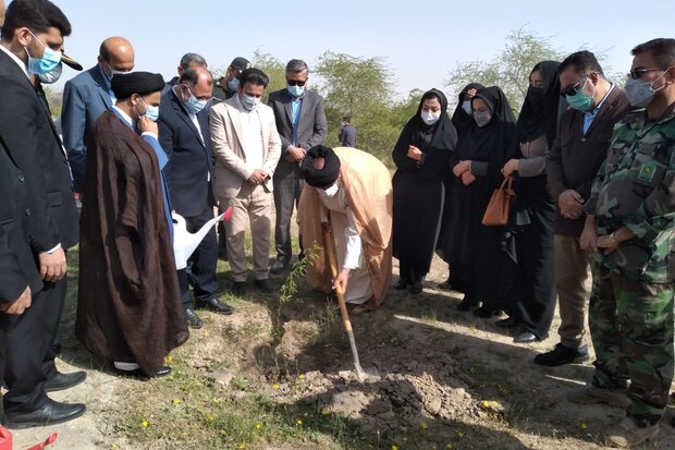 آیین روز درختکاری در گناوه برگزار شد