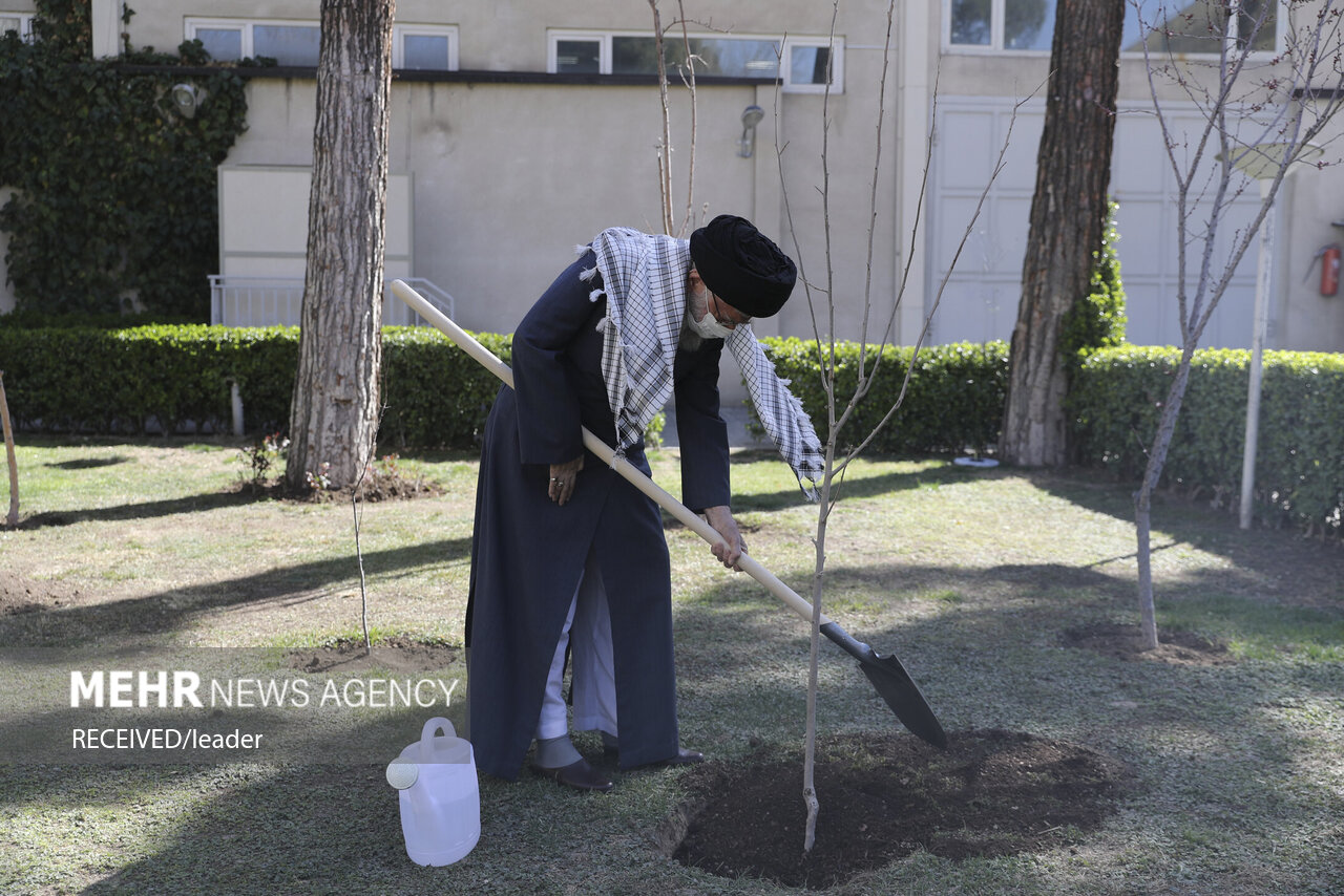 رہبر معظم نے یوم درخت کاری کے موقع پر دو پھلدار پودے کاشت کئے