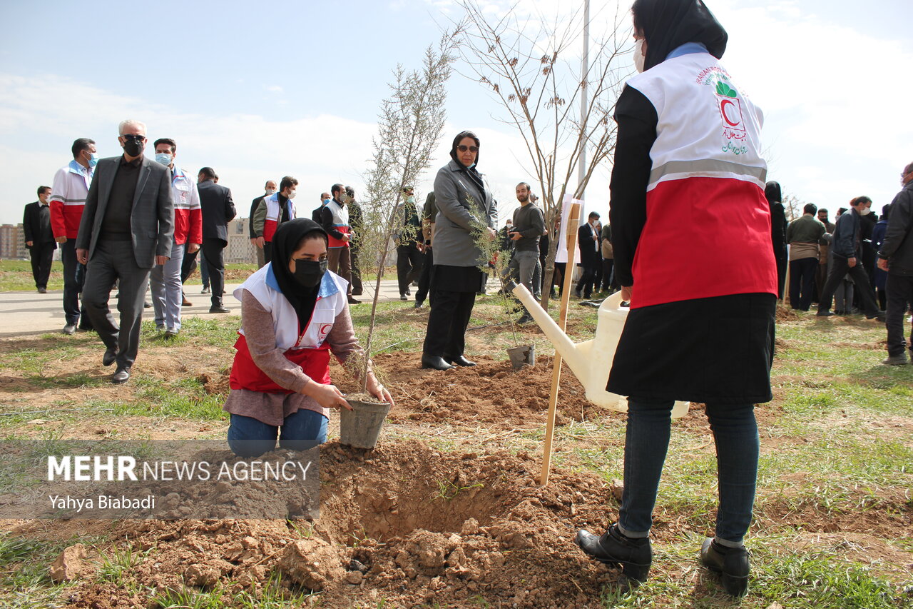 آغاز پویش ۱۰۰ در اسلام آبادغرب به مناسبت روز درختکاری