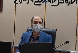 رکورد جوجه ریزی در مازندران شکسته شد/ آغاز طرح نظارتی دامپزشکی