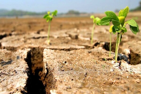 Drought sparks famine fears in Zimbabwe