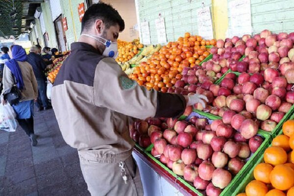 توزیع میوه تنظیم بازاری در ۲۱ نقطه شهرستان رزن