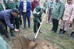 کاشت ۹۳۰۰ اصله نهال توسط سپاه و بسیج در کردستان