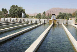توصیه های کاربردی به آبزی پروران در وضعیت کم آبی