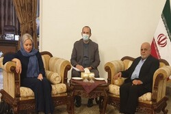 Iranian ambassador, UN special envoy discuss Iraq