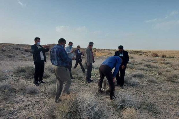 رهاسازی ۴ بال پرنده وحشی تیهو  رهاسازی ۴ بال پرنده وحشی تیهو