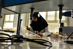 افزایش ۳ برابری شرکت های مستقر در پارک علم و فناوری دانشگاه تهران