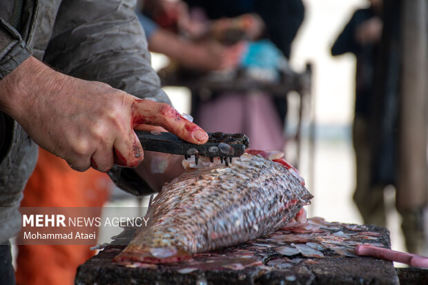 خرید ماهی از خودروهای سیار خطری برای سلامت مردم در شیراز است