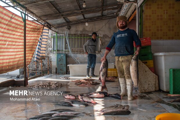 Fish market in Bandar-e Torkaman