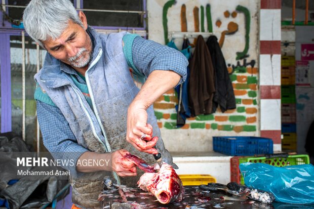 Fish market in Bandar-e Torkaman