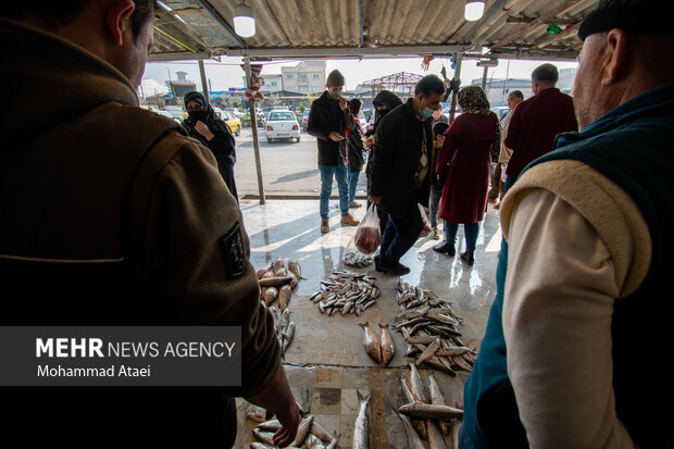 Fish market in Bandar-e Torkaman