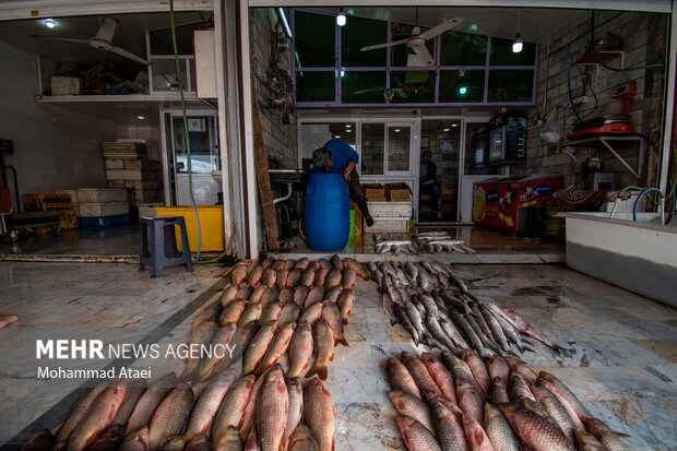 Fish market in Bandar-e Torkaman