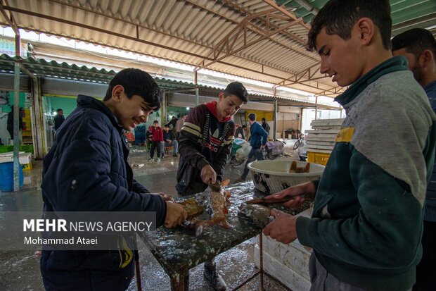 Fish market in Bandar-e Torkaman