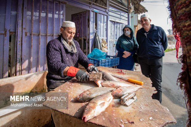 Fish market in Bandar-e Torkaman