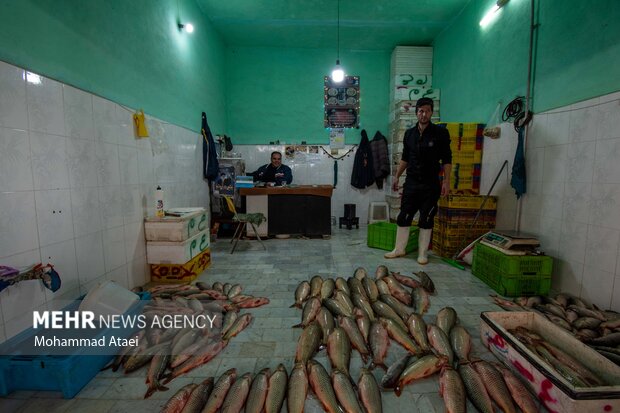 Fish market in Bandar-e Torkaman