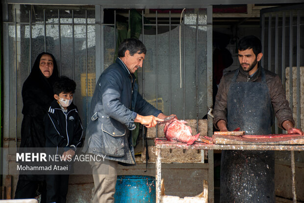 Fish market in Bandar-e Torkaman